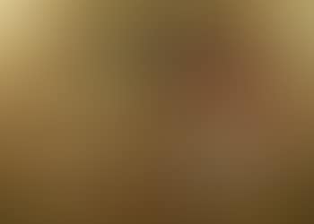 Nature morte (preview)
