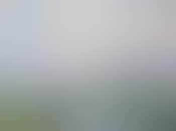 Landscape (preview)