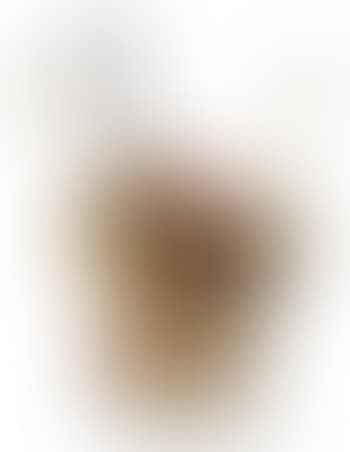 Untitled (from the Prisonnier series) (preview)