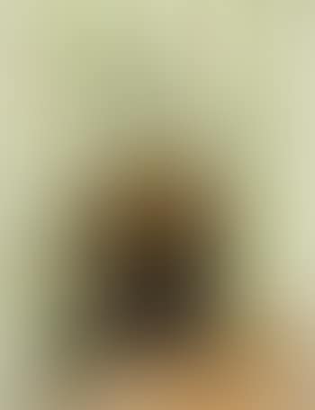 Oranges dans un panier (preview)