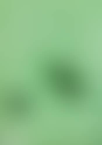 Composition verte (preview)