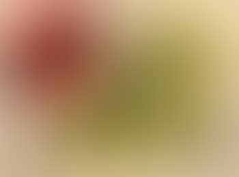 Composition (preview)