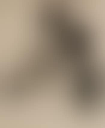 La Retameuse (preview)