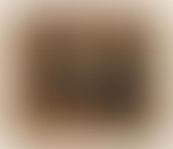 Der Abschied (preview)