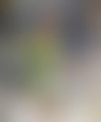 Fönsterutsikt (preview)