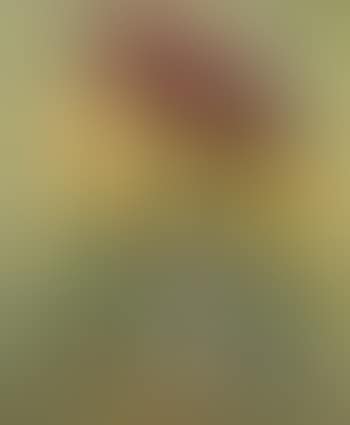 Vase de chrysanthèmes (preview)