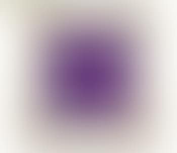 Abstract (preview)