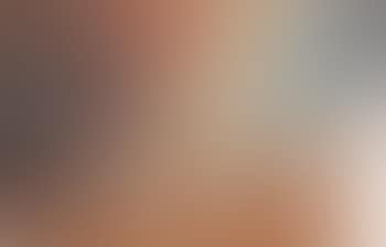 Palette de l'artiste (preview)