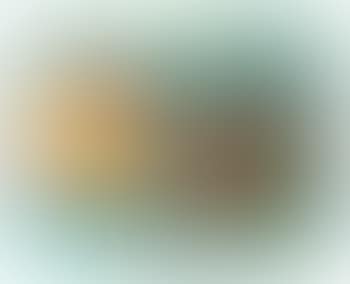 Abstract (preview)