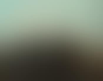 A European scene with horses (preview)