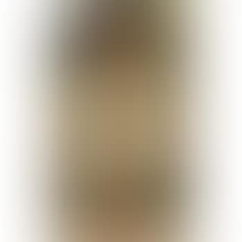 Rayon de Soleil (Sunbeam) (preview)