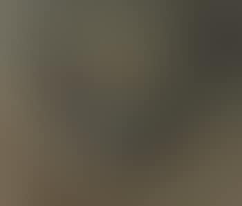 Study of a Dead Cuckoo (preview)