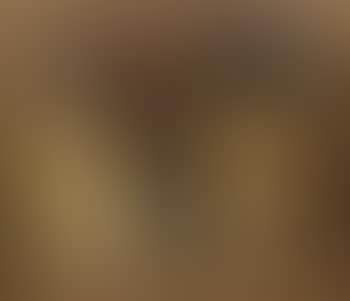 Still life with a black bottle (preview)