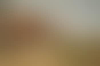 Paysage de Ballaigues (preview)