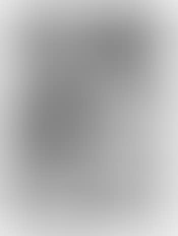 Der hl. Hieronymus (preview)