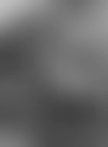 Reiter und Landsknecht (preview)