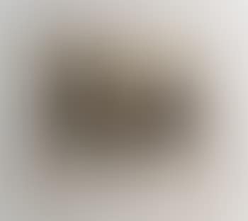 [Untitled] (preview)