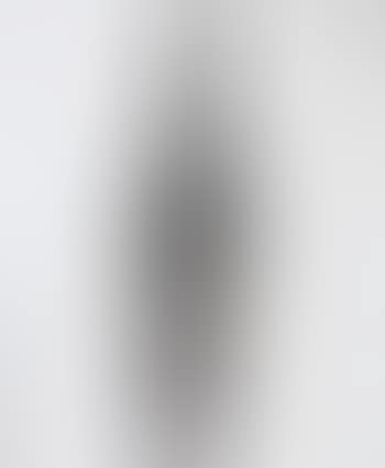 Forme marron sur toile blanche (preview)