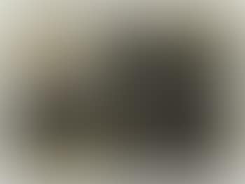 Paesaggio lacustre con figure (preview)
