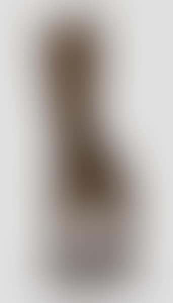 Torso (preview)