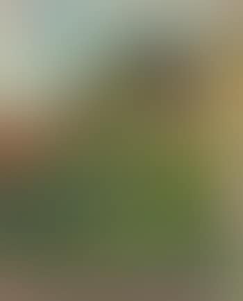 Gartenlandschaft (Oschwand) (preview)