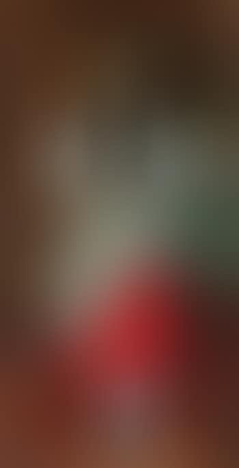 Junge Frau in Tracht (preview)