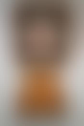Xipe, pre-Columbian figure (preview)