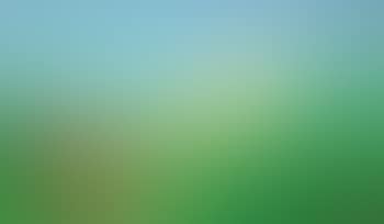 Landscape (preview)