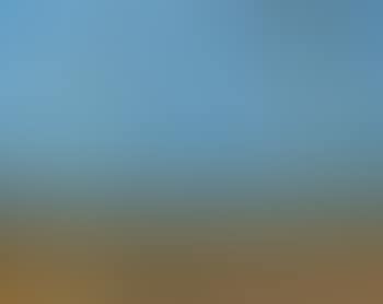 Palm Trees on the Beach (preview)