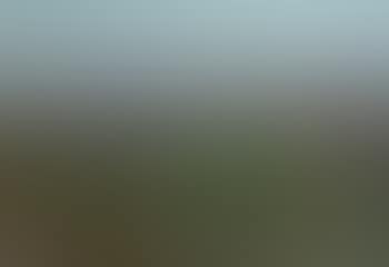 Jerusalem (preview)
