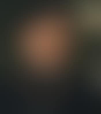 Portrait d'un gentilhomme (preview)