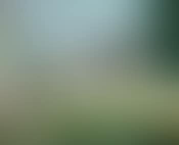 Rural Landscape (preview)