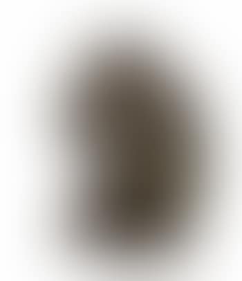 Selbstbildnis (preview)