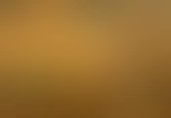 Paysage (preview)