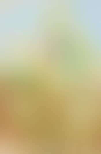 Mais (Corn) (preview)