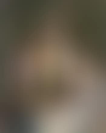 The Tessin Woman (preview)