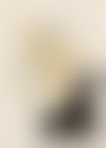 Untitled (Derneburg) (preview)