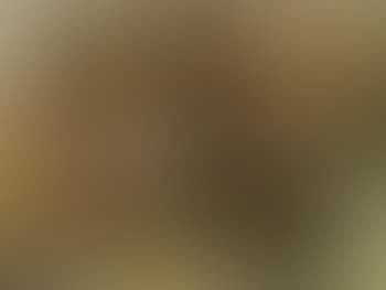 Composition II/2 (preview)