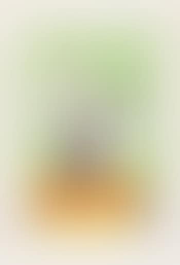 Eucalyptusblätter (preview)