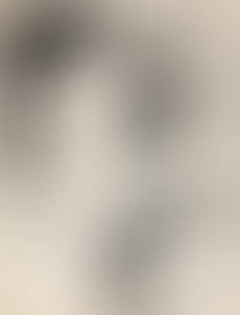 Le vieux roi (preview)