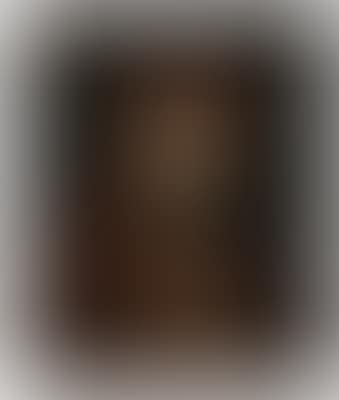 Saint Francis of Paola (preview)