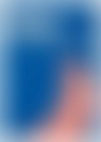 Das Druckgrafische Werk (preview)