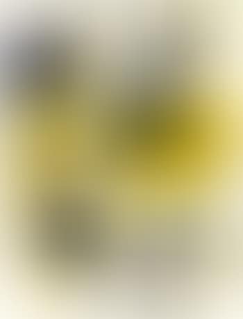 Untitled #5 (from Pasadena Box) (preview)