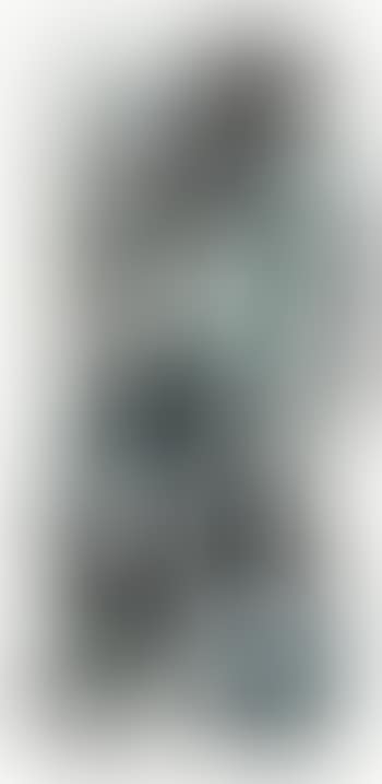 Up and Down in Fall (preview)