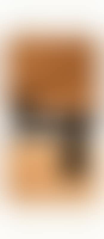 Abstract (preview)
