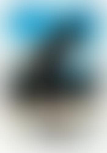 Untitled (pl. 15 from Men in the Cities) (preview)
