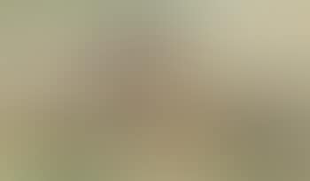 Louisiana Rice Fields (preview)