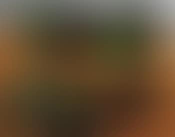 Natura morta con pere (preview)