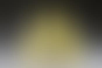 Chat assis regardant vers la gauche; Chat assis regardant vers la droite (preview)