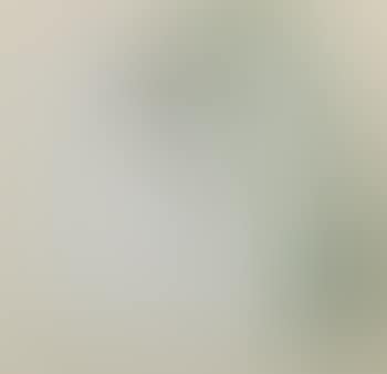 Blanc/vert (preview)
